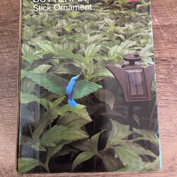 - Humming bird - Picture 2 of 2